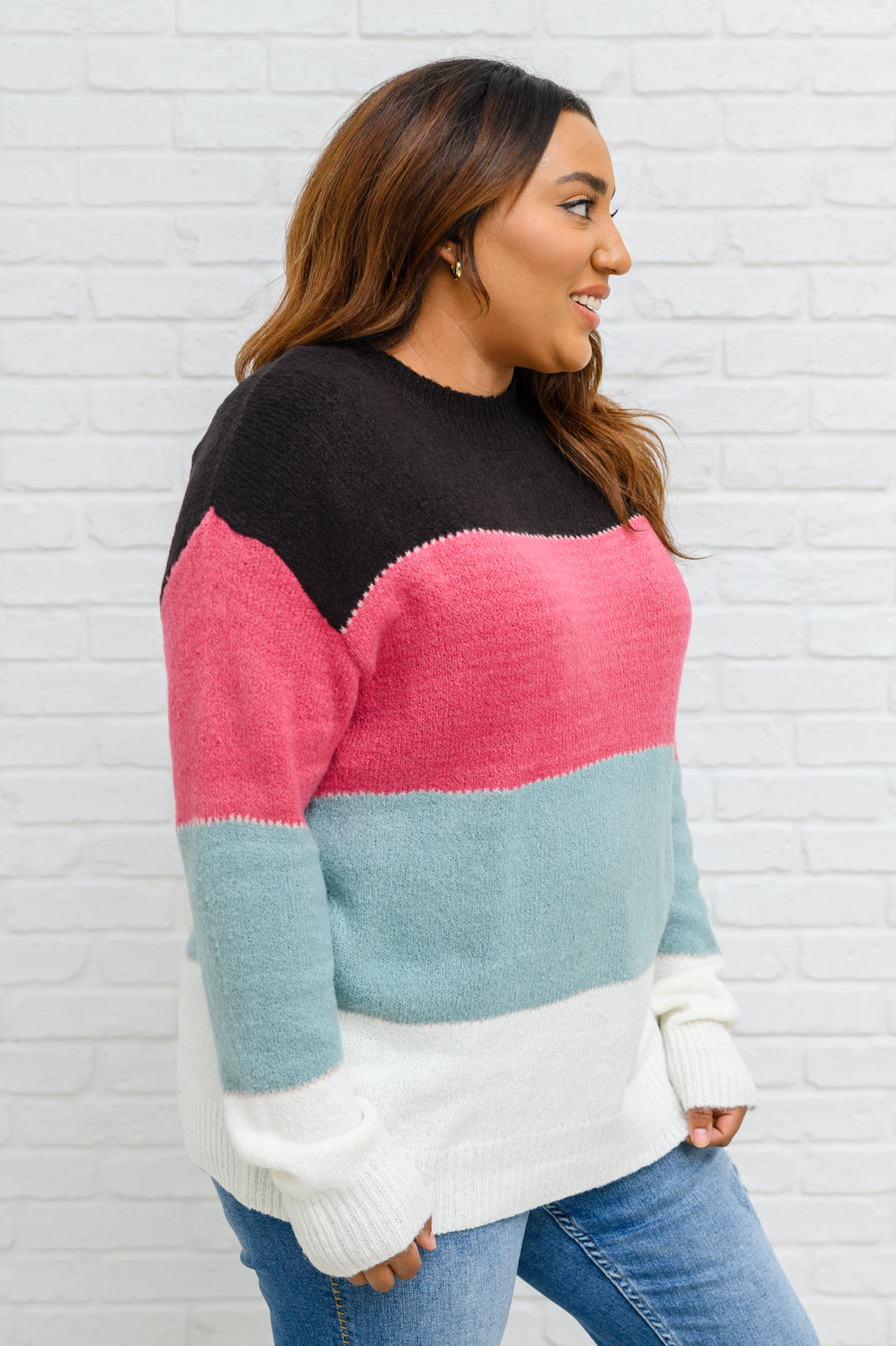 Bring the Vision Color Blocked Knit Sweater